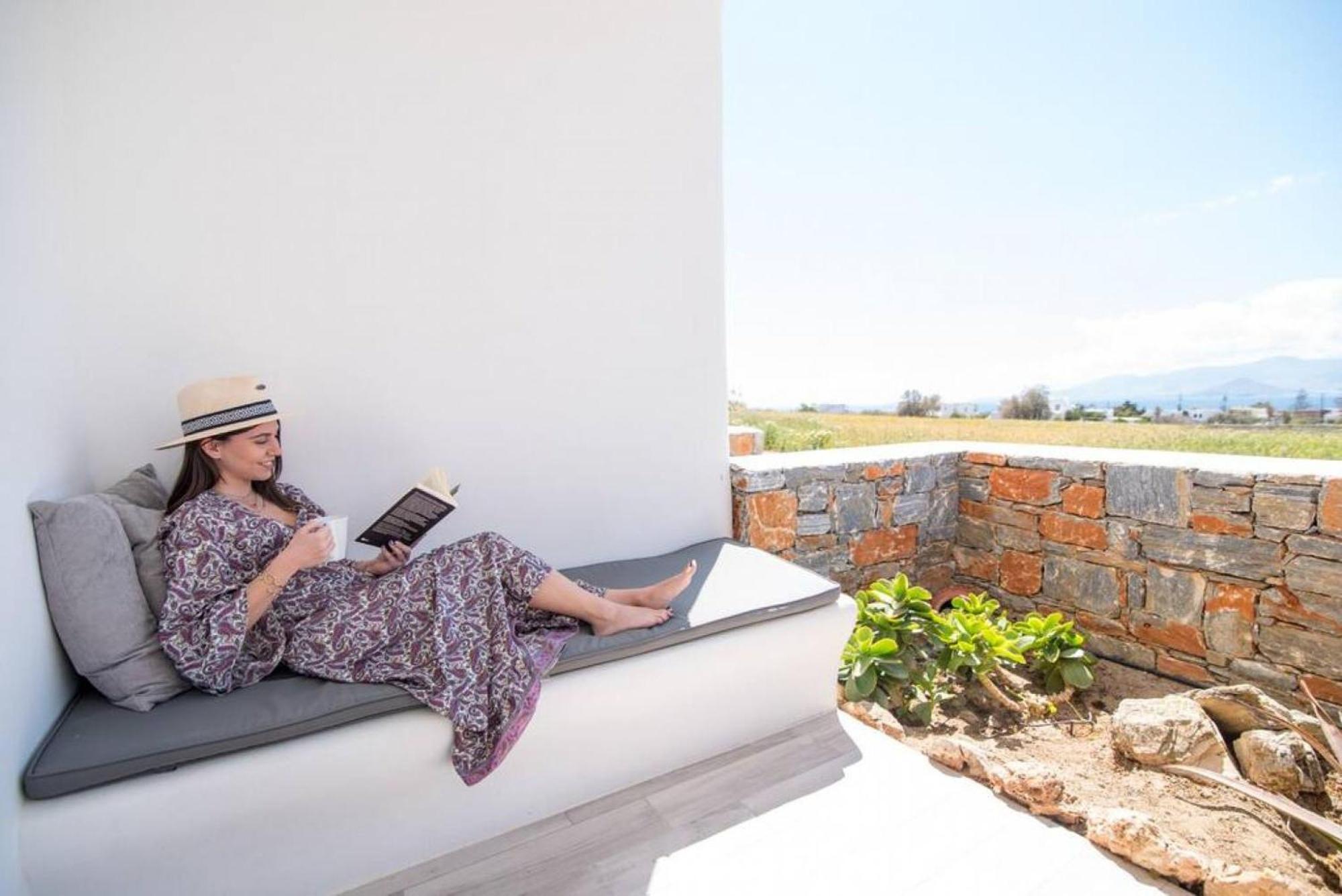 Naxos Agia Anna Sunset View Olive House公寓 外观 照片